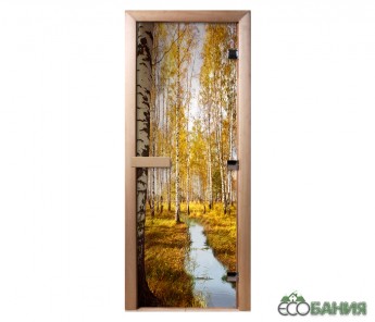 Дверь с фотопечатью Doorwood A082