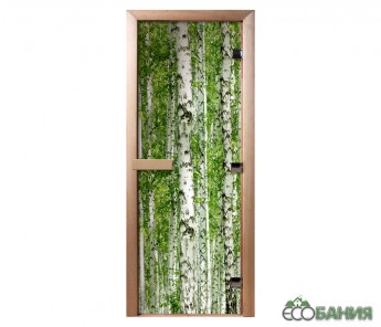 Дверь с фотопечатью Doorwood A084