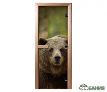 Дверь с фотопечатью Doorwood A065